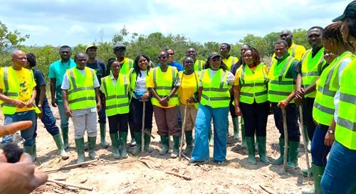 MTN, Forestry Commission and Rainforest Alliance plant 1,666 trees to revive degraded Chepa Forest Reserve