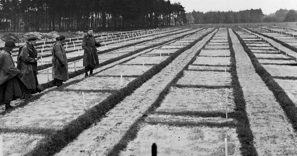 105-Year-Old German Guard Investigated for Nazi PoW Camp Murders