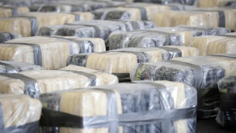 Arrest Everyone Involved In Cocaine‑Linked Container From Ghana