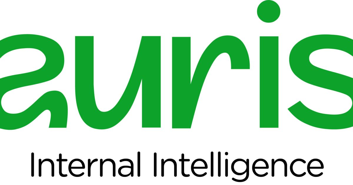 Auris: AI‑Powered Assistant Lets Ghanaian HR Teams Find Answers in Seconds