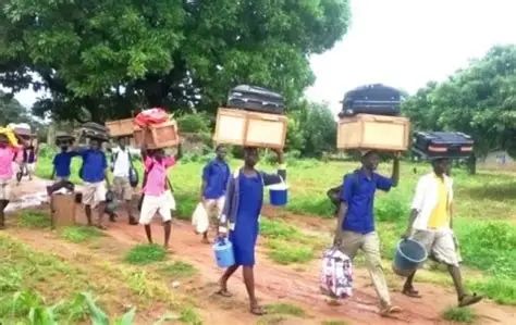 IEFEST Criticises IEA Poll on Double‑Track System as Inadequate Measure of SHS Quality