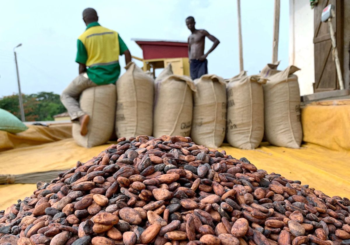 NPP Challenges GH¢2,650 Cocoa Price, Demands Review