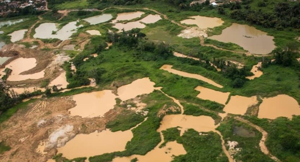 Pharmaceutical Society Urges Tougher Action Against Illegal Mining