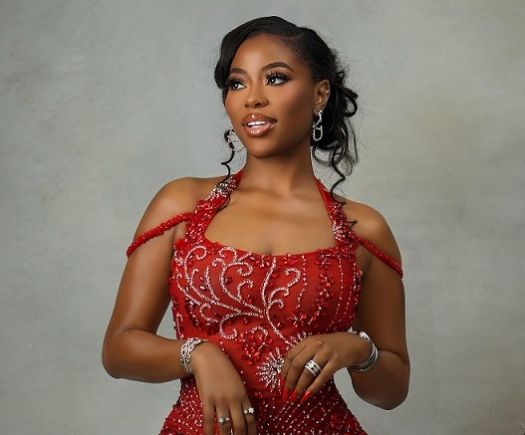 Sophia Momodu Shares Unwed Pregnancy Experience with Davido