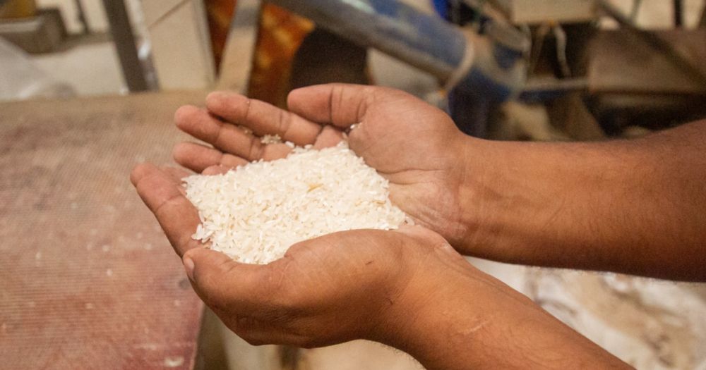 Spring Agro Industries Urges Ghanaians to Choose Local Rice as Imports Dominate Market