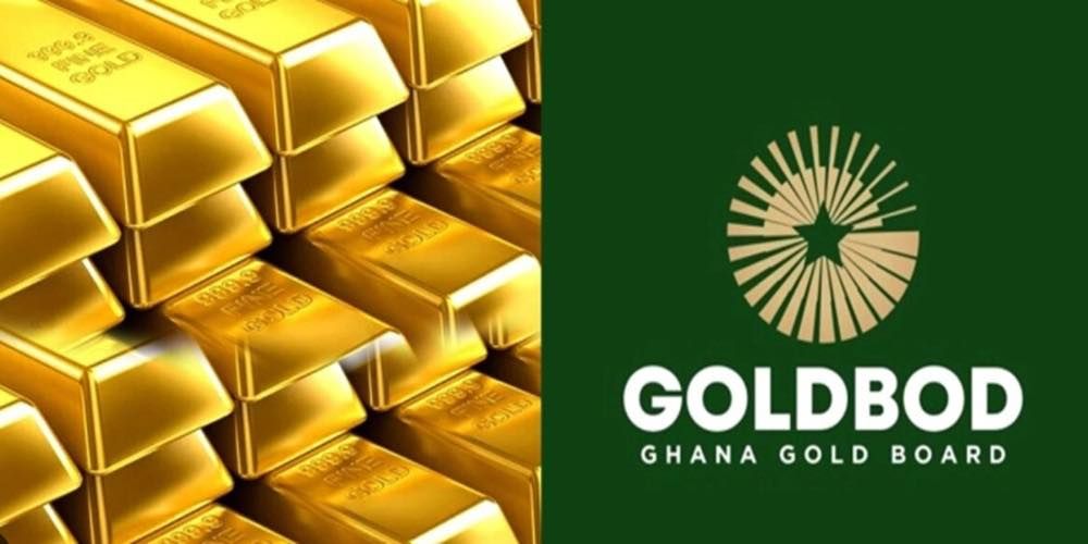 Adongo Defends GoldBod Law’s Passage Despite Opposition Concerns