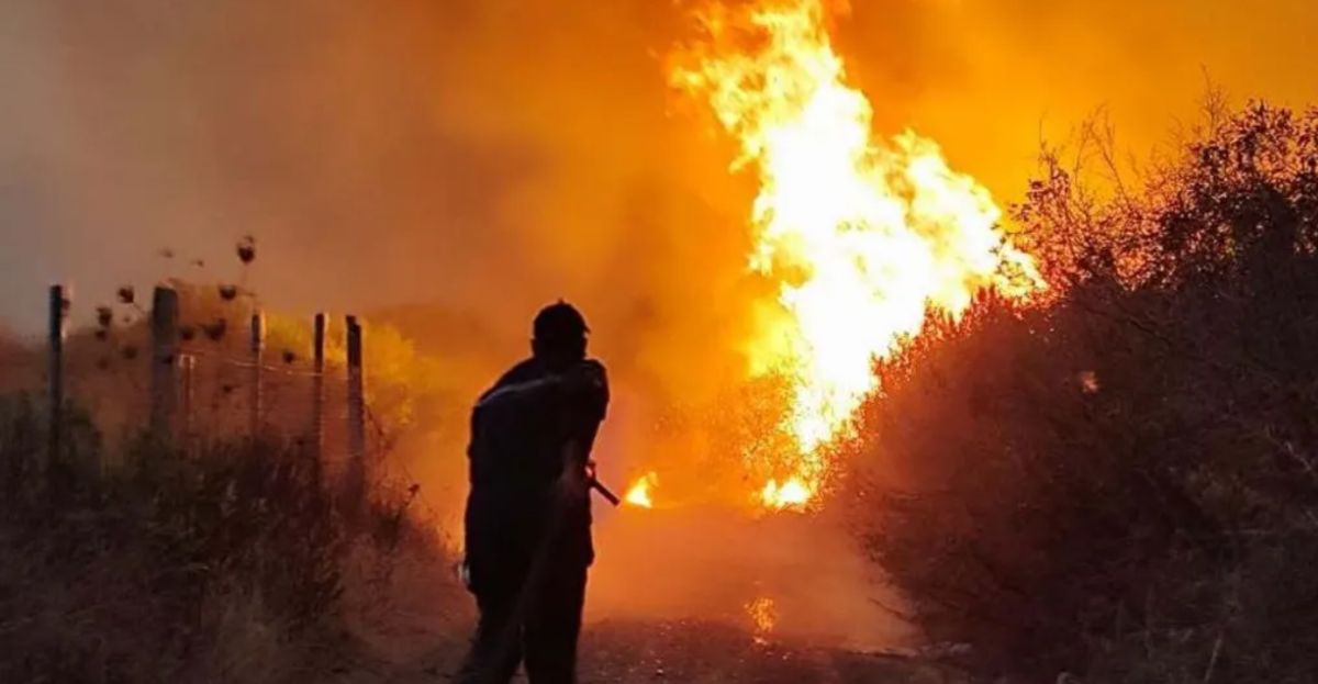 Algeria Passes Death Penalty for Arsonists After Deadly Wildfires