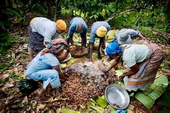 Cocoa Hubs Project Strengthens Women’s Role in Ghana’s Rural Cocoa Service Delivery
