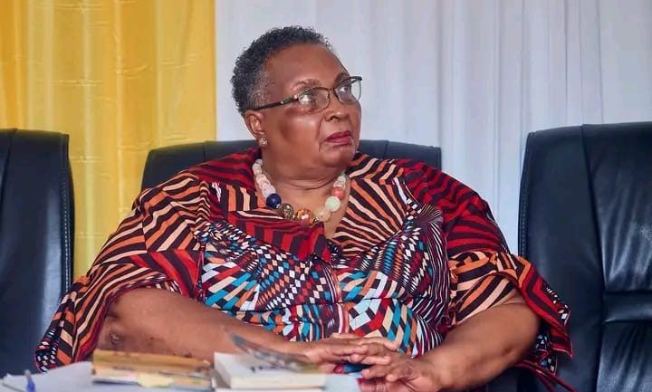 Prof. Sutherland‑Addy Calls for Deeper Diaspora Engagement in Ghana