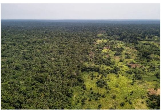 DR Congo’s Green Corridor Plan Faces Human Rights and Environmental Criticism