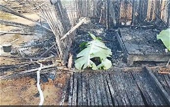 Family Tragedy: Four Killed in Early‑Morning Fire at Apemanim