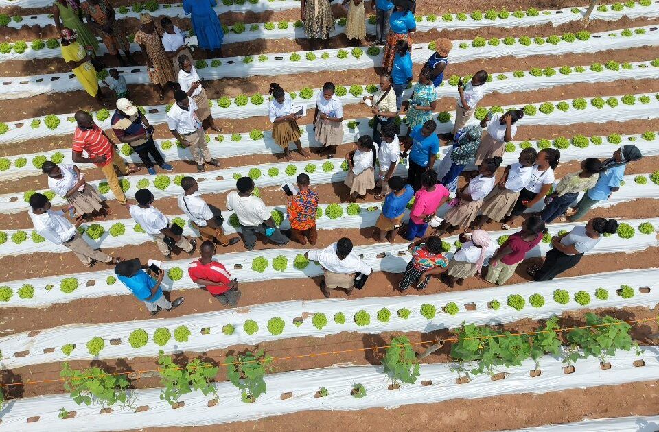 Farmers Adopt Climate‑Smart Horticulture After Demo Farm Visit