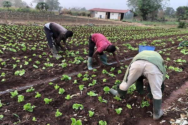 Farmers Call on Finance, Agric Ministries to End Impasse