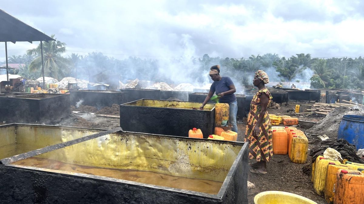 Ghana Faces 150,000‑Tonne Crude Palm Oil Shortfall Amid Growth Opportunity