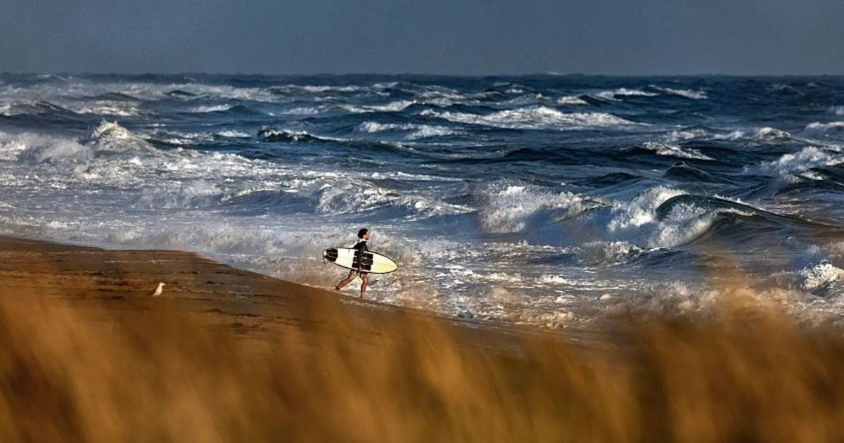 Medical Plane Missing Off Massachusetts Coast After Flight From Bermuda