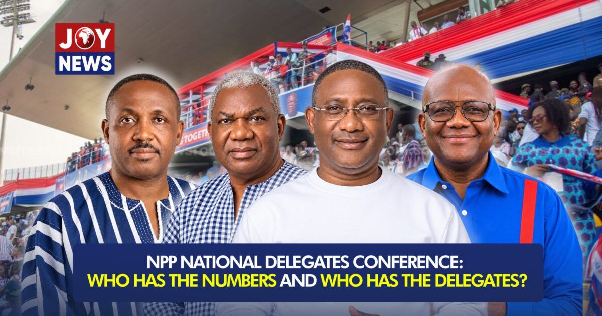 NPP Elects National Executives at Kumasi Stadium Ahead of 2028 Election