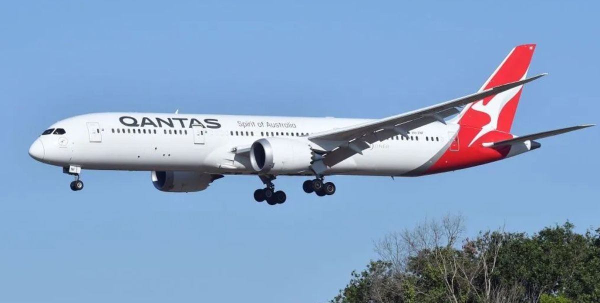 Qantas Flight Grounded After Bedbug Outbreak on Italy‑to‑Australia Route