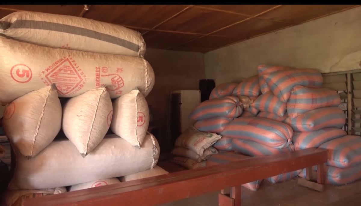 Savannah Region Farmers Face Losses as Prices Drop and Storage Gaps Grow