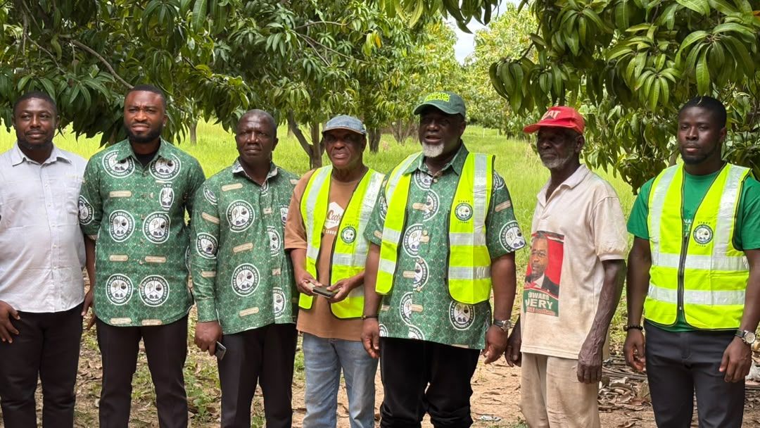 TCDA to Adopt MATCO Mango Farm as Northern Prototype, Warns Against Illegal Shea Tree Felling